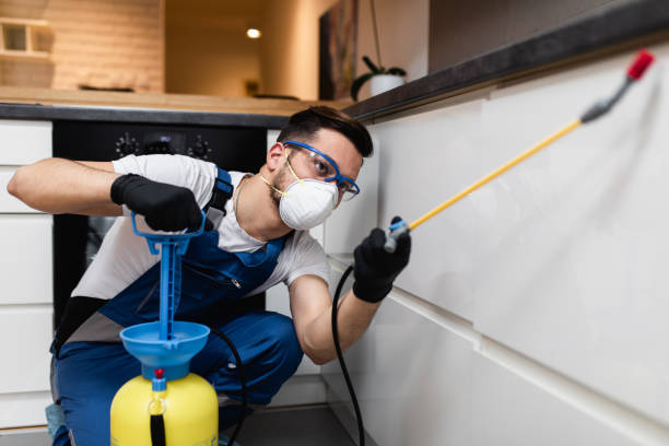 Professional Pest Control in Pottsgrove, PA